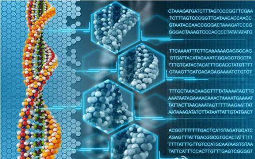 如果人类的DNA停止变异会怎样？